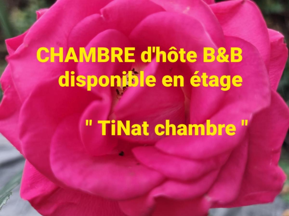 Tinat Studio Douarnenez Esterno foto